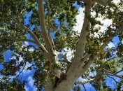 Какой праздник 18 апреля: народные приметы и запреты