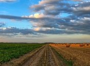 Итоги 20 декабря: план подготовки к выборам, наемники Вагнера, рынок земли и одна пенсия в декабре