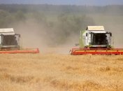 Украина наращивает импорт агропродукции 