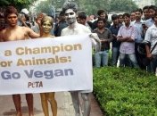 Вегетерианский переворот