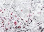 Какая погода будет в последние выходные 2013 года? 