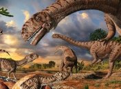 Тайна, покрытая камнем: главные загадки палеонтологии