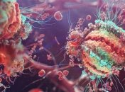 Ученые сумели извлечь вирус ВИЧ из живых клеток