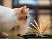 Борьба с депрессией: как просто распрощаться с проблемами