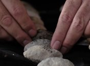 Камни для пращи