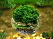 В Раде предлагают значительно повысить экологический налог 