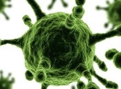 Ученые: вирус-мутант способен напрямую заражать человека