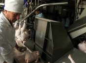АМКУ намерен исследовать причины роста цен на курятину