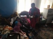 Лікарі швидкої оглянули дитину на місці.