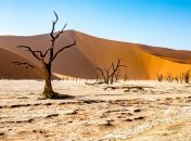 На планете зафиксировали участки убийственной жары с высокой влажностью