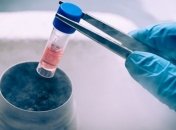 Специалисты рассказали о роли стволовых клеток в медицине