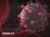 Ученые показали, как коронавирусные частицы прикрепляется к клеткам человека (Видео)