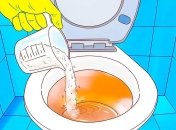 Хитрость, которая сделает ваш туалет безупречным
