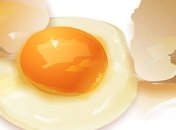 Что полезнее - белок или желток