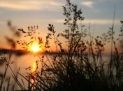 Цим прикметам вже багато років