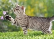 Всему виной - поздняя Пасха: народный синоптик озвучил прогноз на начало весны в Украине