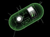 Ученым удалось превратить бактерию в записывающее устройство