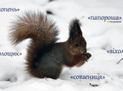 А вы знаете, что такое "папорошка", "голощик" или "совзеница" в украинском языке?