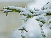 Снег уже пересек границу: синоптик дала прогноз на праздник 8 Марта