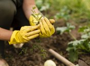 Работы на участке не прекращаются даже осенью