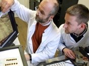 Мишам внедрили ложные воспоминания