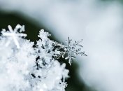 Какой праздник 29 декабря: народные приметы и запреты