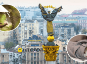 Погода в Киеве