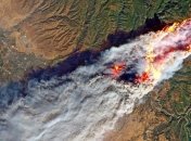 В РФ подсчитали сумму убытков из-за лесных пожаров