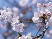 Какой праздник 6 мая: народные приметы и запреты