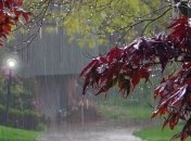 Прогноз погоды в Украине на 10 ноября: во всех регионах будет дождь