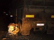 "ВАЗ" врезался в "КамАЗ": погибли 3 человека