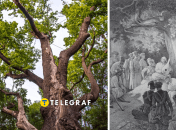 На Черкащині росте дуб, названий на честь Максима Железняка