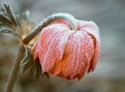 Морозные выходные: "леденящий" прогноз погоды на 23-24 ноября