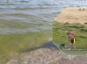 Море в Одессе