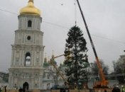 В Киеве установили главную елку страны