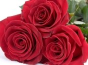  Новый год в Украине щедр на юбилейные даты