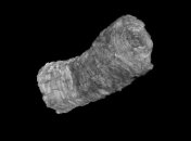 Томография помогла прочесть два древнеримских свитка