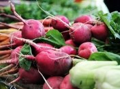 Овощ, который способный противостоять вирусам