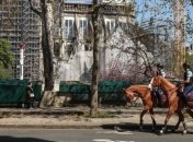 Коронавирус во Франции: число погибших превысило 12 тысяч человек