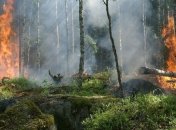 Спасатели назвали лидирующие области по количеству пожаров