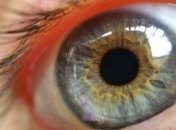 Новые линзы Sony с встроенной фотокамерой