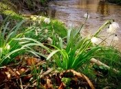 Детальний прогноз погоди для всіх регіонів України до кінця тижня