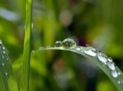 Приметы и обряды на 1 мая – День святого Кузьмы