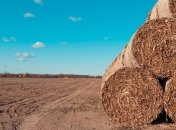 Рада буде блокувати закон про земельний ринок