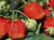 Погода в Украине 22 мая: без осадков, однако на западе - дожди