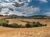 В Украине спутниковый мониторинг выявил около 4,3 млн га "теневых" земель