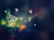 Знаменательные события в истории: 24 апреля 2016