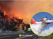 Лесной пожар