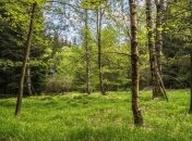 Приметы и обряды на 23 мая – Симонов день