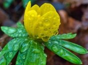 Дождь и похолодание: чем "порадует" погода сегодня, 11 марта